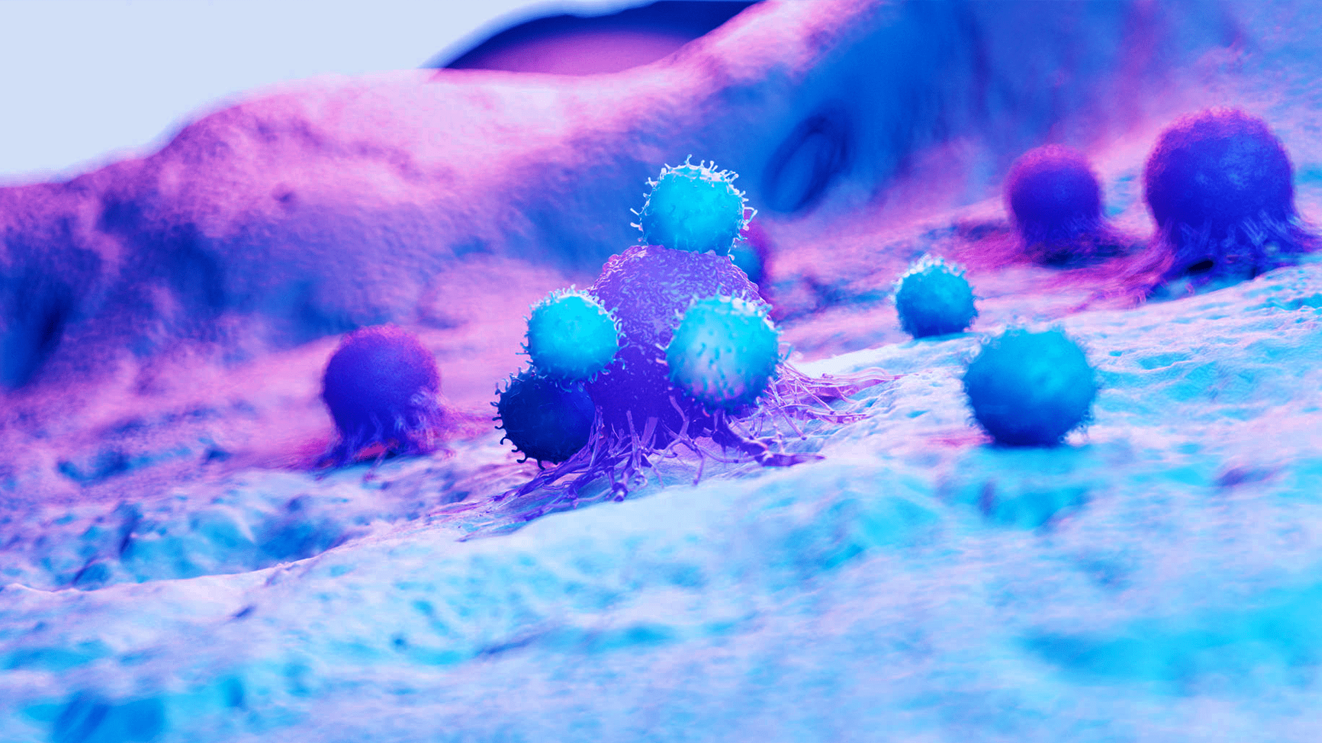 Enmd CASI Pharmaceuticals Receives EU Orphan Drug Designation for ENMD-2076 ...