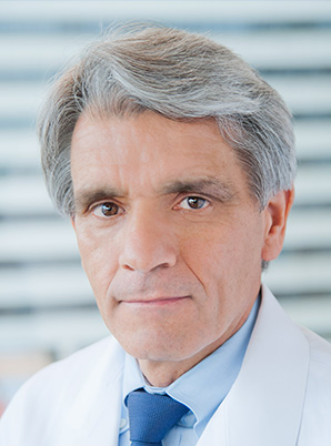 Stephen Hauser