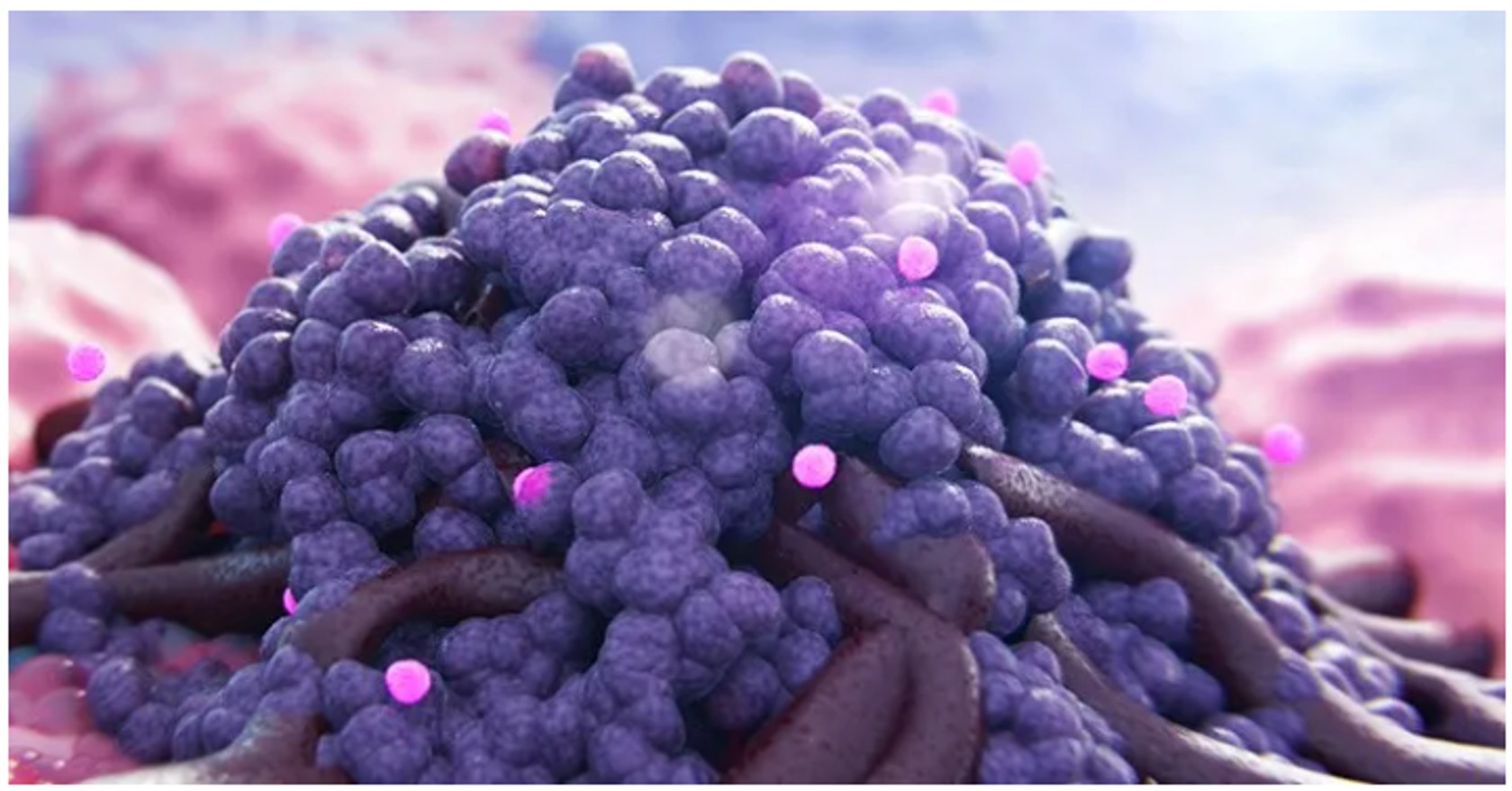 Tumor microenvironment