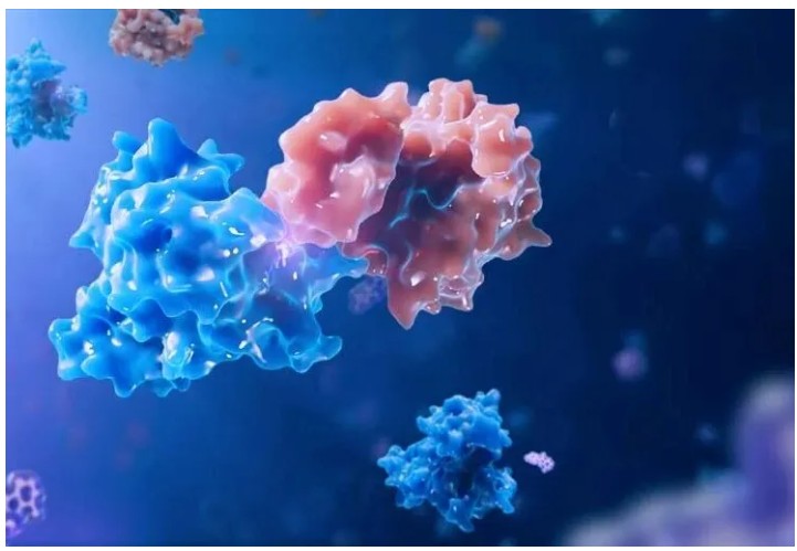 molecule glue