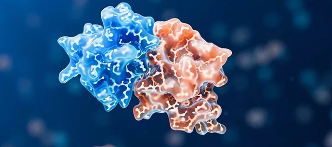 Molecule Glue
